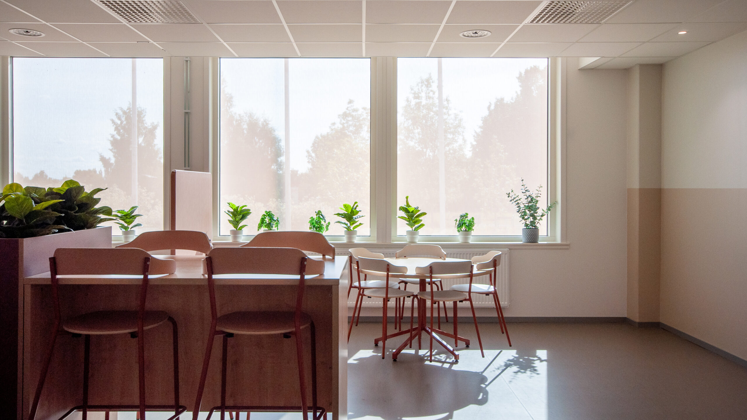 Alice Lundsgymnasiet, Borlänge